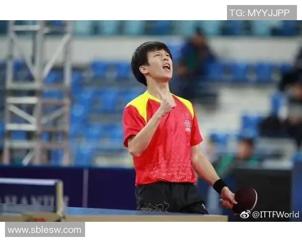 乒乓球战术解析：深入探讨北京乒乓球队的包夹战术体系与应用