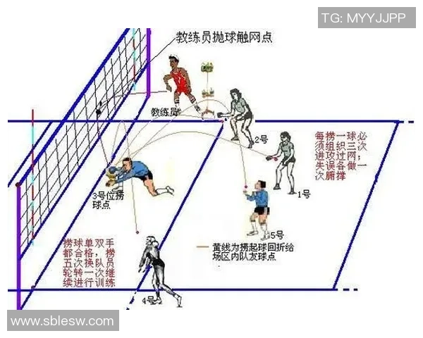 从零起步掌握排球技巧全方位配合攻略助你成为场上明星