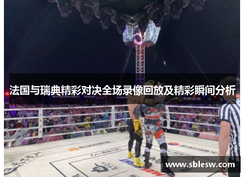 法国与瑞典精彩对决全场录像回放及精彩瞬间分析